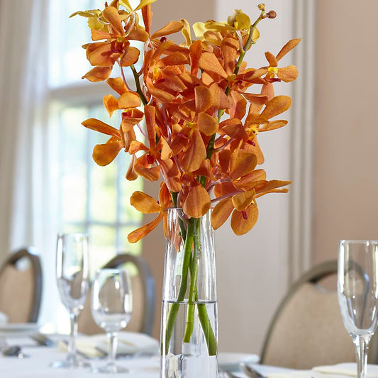 Orange Mokara Bud Vase –  Diamond Flower Shop, Reading PA