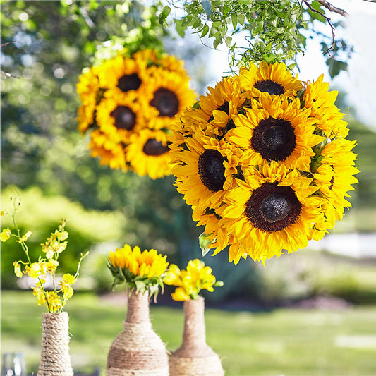 Sublime Garden Hanging Arrangement –  Diamond Flower Shop, Reading PA