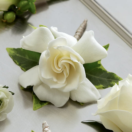 Gardenia Boutonniere –  Diamond Flower Shop, Reading PA