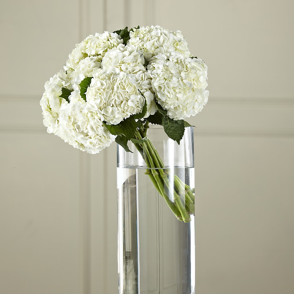 White Hydrangea Hand-Tied Bouquet –  Diamond Flower Shop, Reading PA