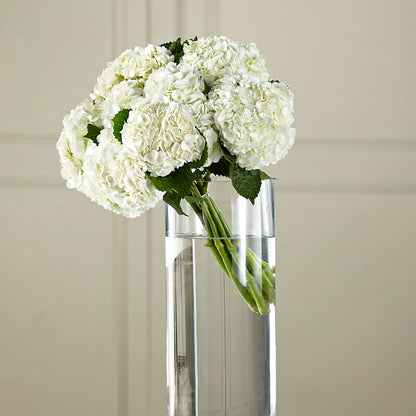 White Hydrangea Hand-Tied Bouquet –  Diamond Flower Shop, Reading PA