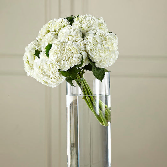 White Hydrangea Hand-Tied Bouquet –  Diamond Flower Shop, Reading PA