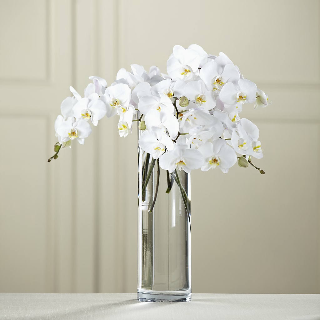 White Phalaenopsis Bouquet –  Diamond Flower Shop, Reading PA