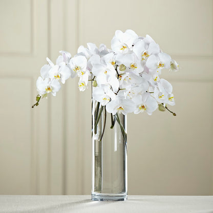 White Phalaenopsis Bouquet –  Diamond Flower Shop, Reading PA
