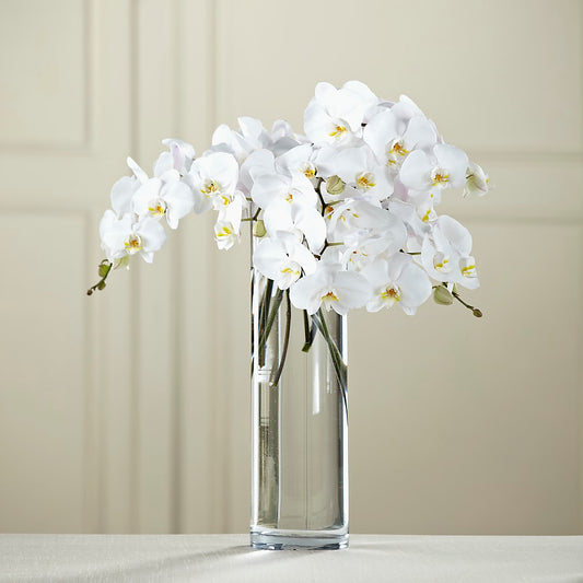 White Phalaenopsis Bouquet –  Diamond Flower Shop, Reading PA