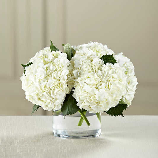 White Hydrangea Bouquet –  Diamond Flower Shop, Reading PA