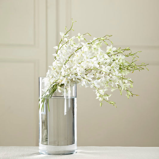 White Dendrobium Bouquet –  Diamond Flower Shop, Reading PA