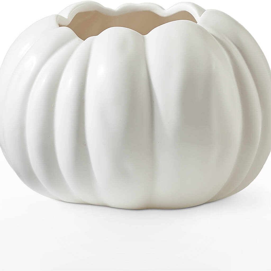 Pumpkin to Talk About Bouquet –  Diamond Flower Shop, Reading PA
